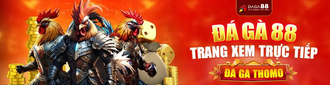 Bong88 Code: Nền Tảng Giải Trí Trực Tuyến Hàng Đầu 2026